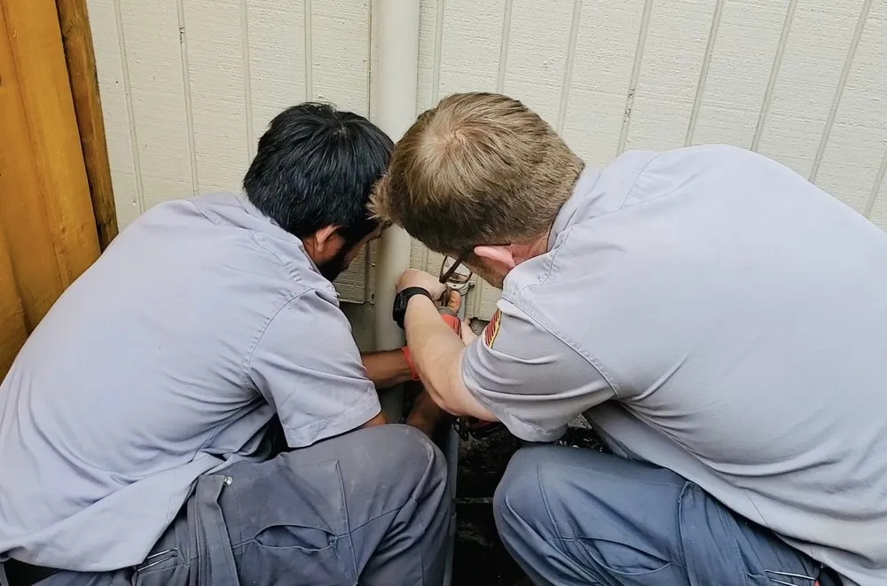 Slide of Electric Norm