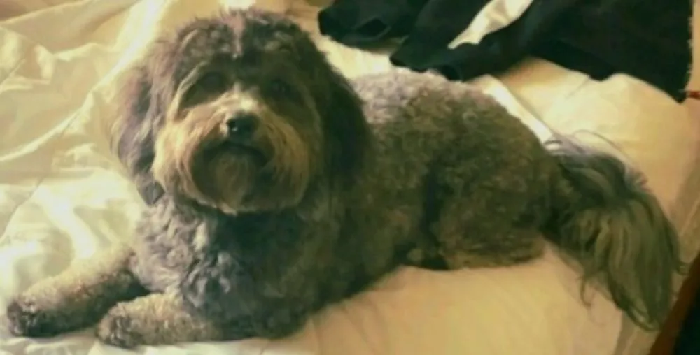 Slide of Electric Pro's