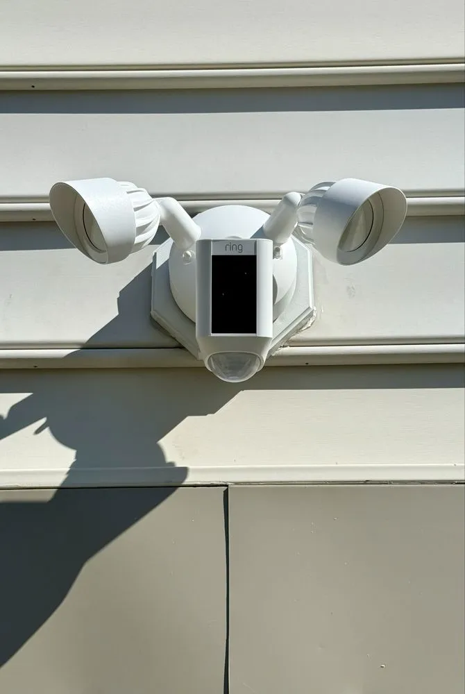 Slide of Electric Ren