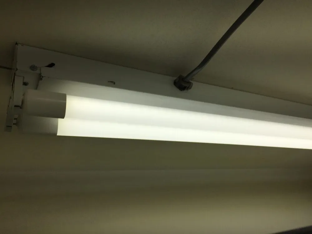 Slide of Electric Sam