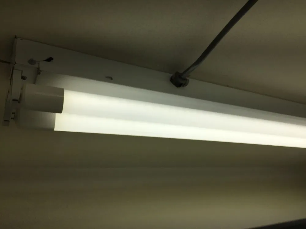 Slide of Electric Sam