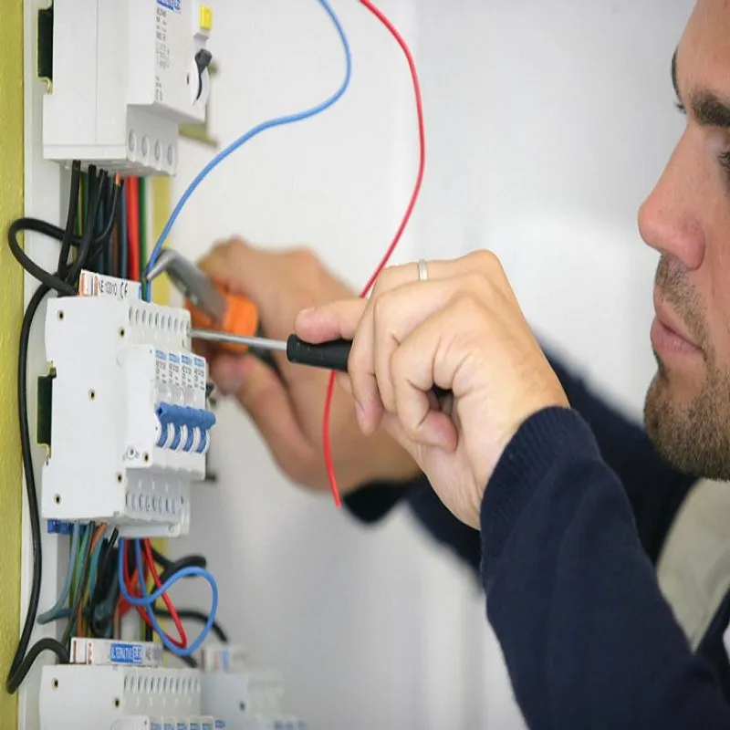 Affordable electrician providing panel upgrade in , 