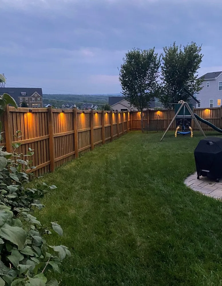 Slide of Electric Wizards