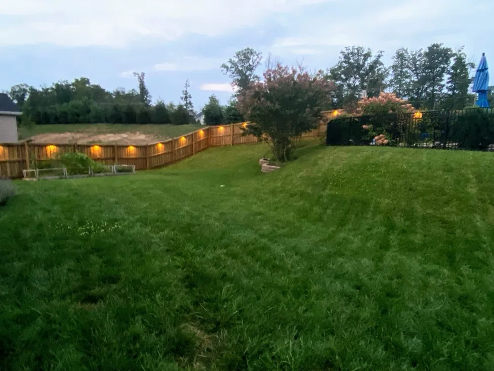 Slide of Electric Wizards