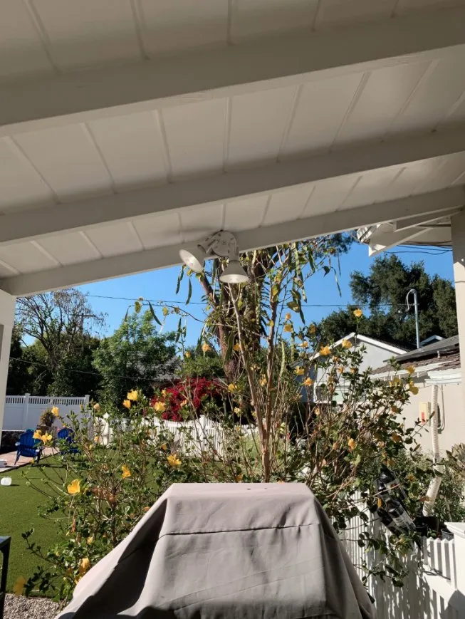 Slide of Electric Yeti