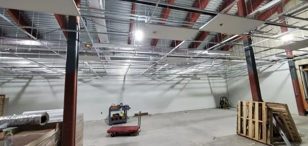 Electrical Blessings Munoz