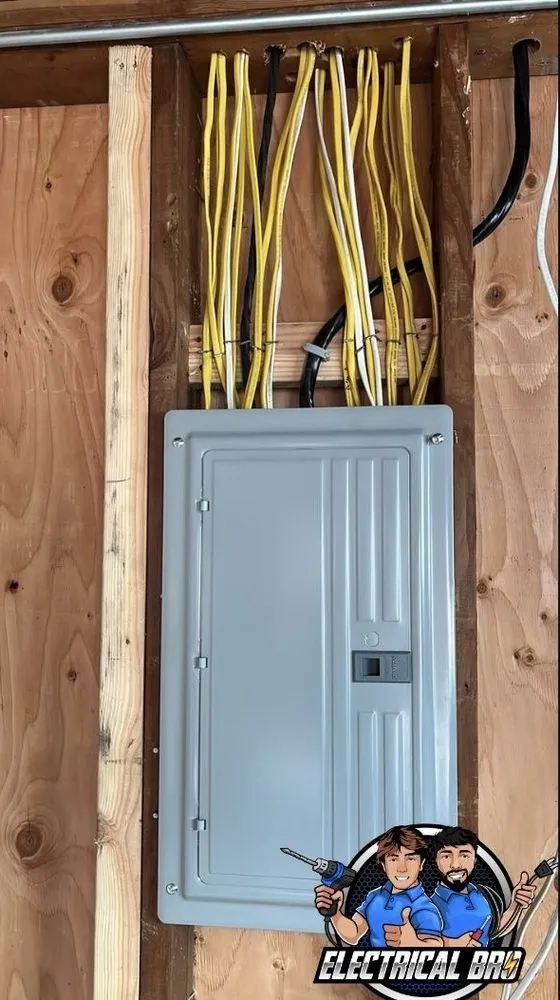 Slide of Electrical Bro