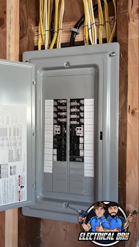 Slide of Electrical Bro