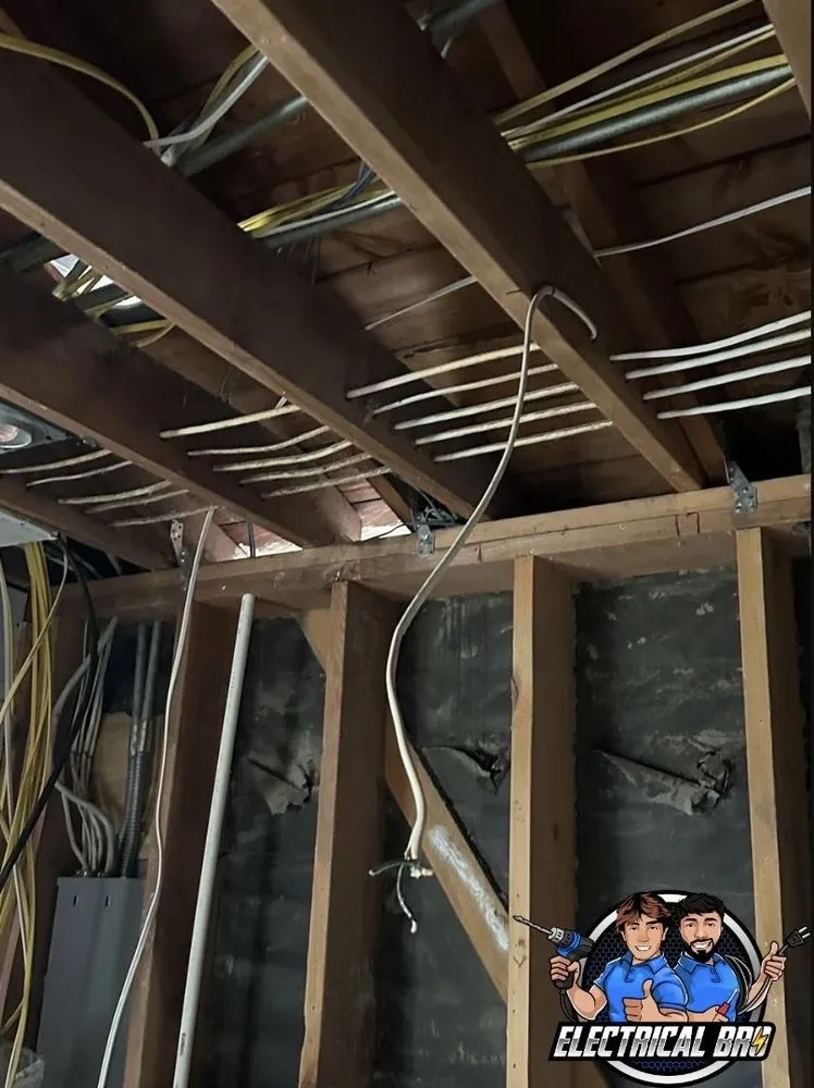 Slide of Electrical Bro