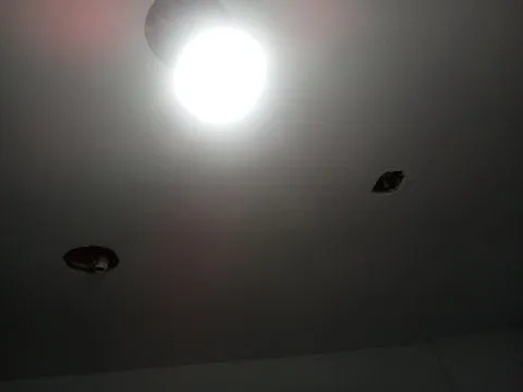 Affordable panel upgrade service in , - Electrical Computer and Energy Efficiencies Services