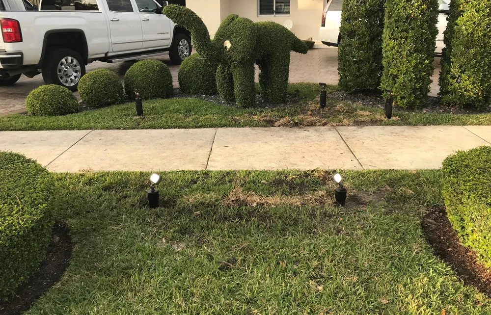 Slide of Electrical Duties