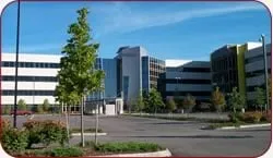 Slide of Electrical Dynamics