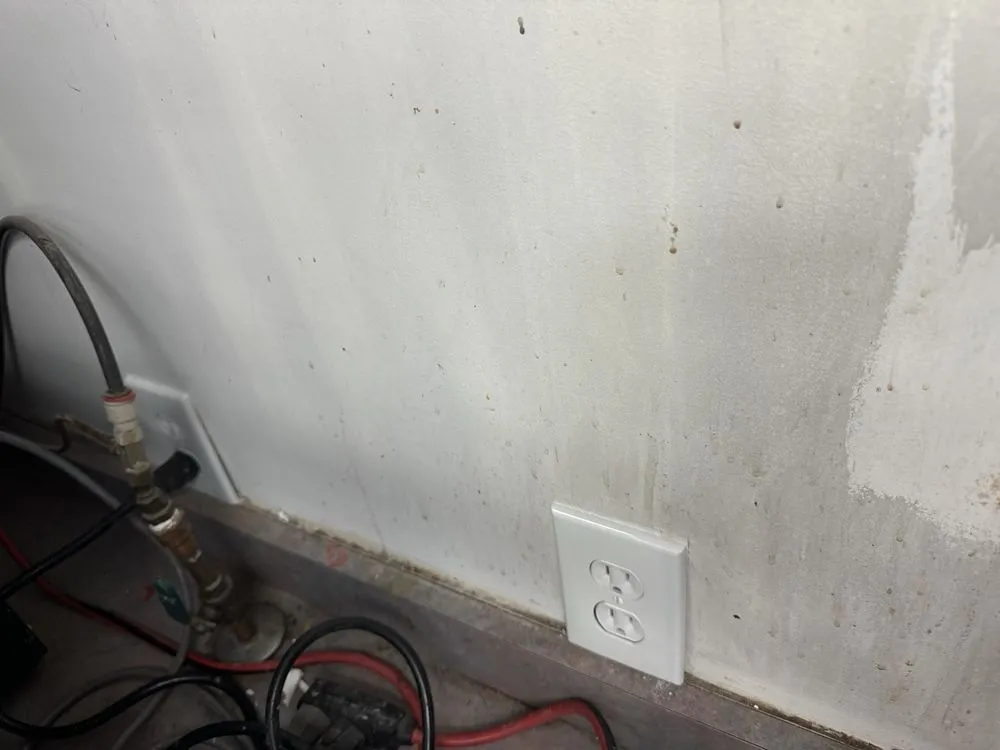 Slide of Electrical Elites