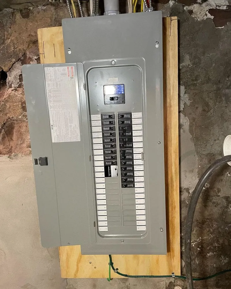 Slide of Electrical Flavor