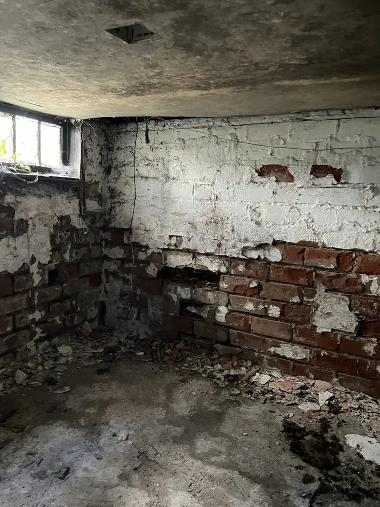 Slide of Electrical Guardians