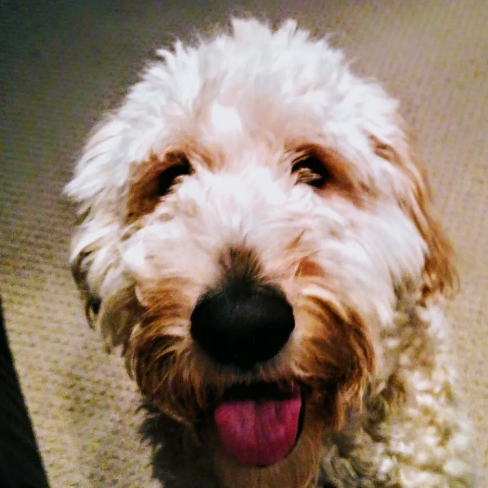 Slide of Electrical Home Solutions