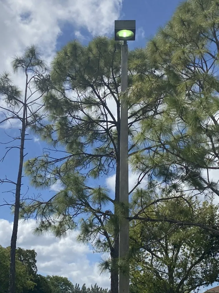 Slide of Electrical Horse Power