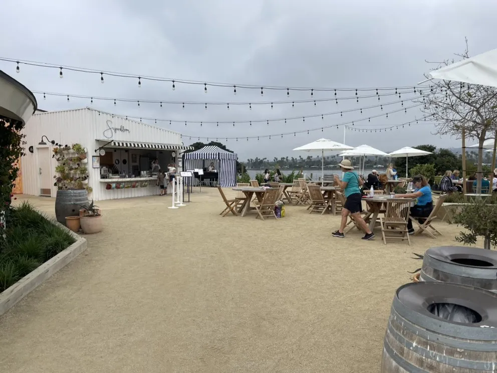 Slide of Electrical Insight