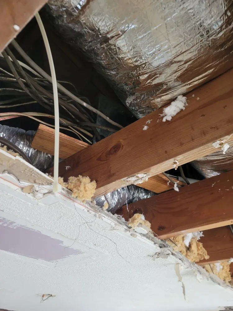 Affordable outlet and switch repair in ,  by Electrical Inter System Network