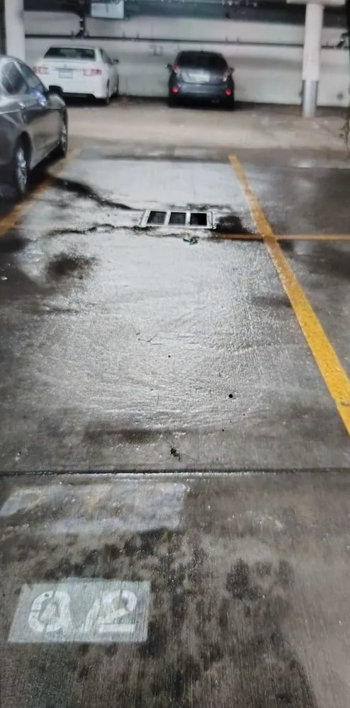 Expert electrician providing panel upgrade in , 