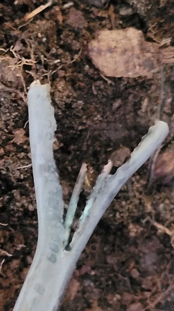 Slide of Electrical Power Design