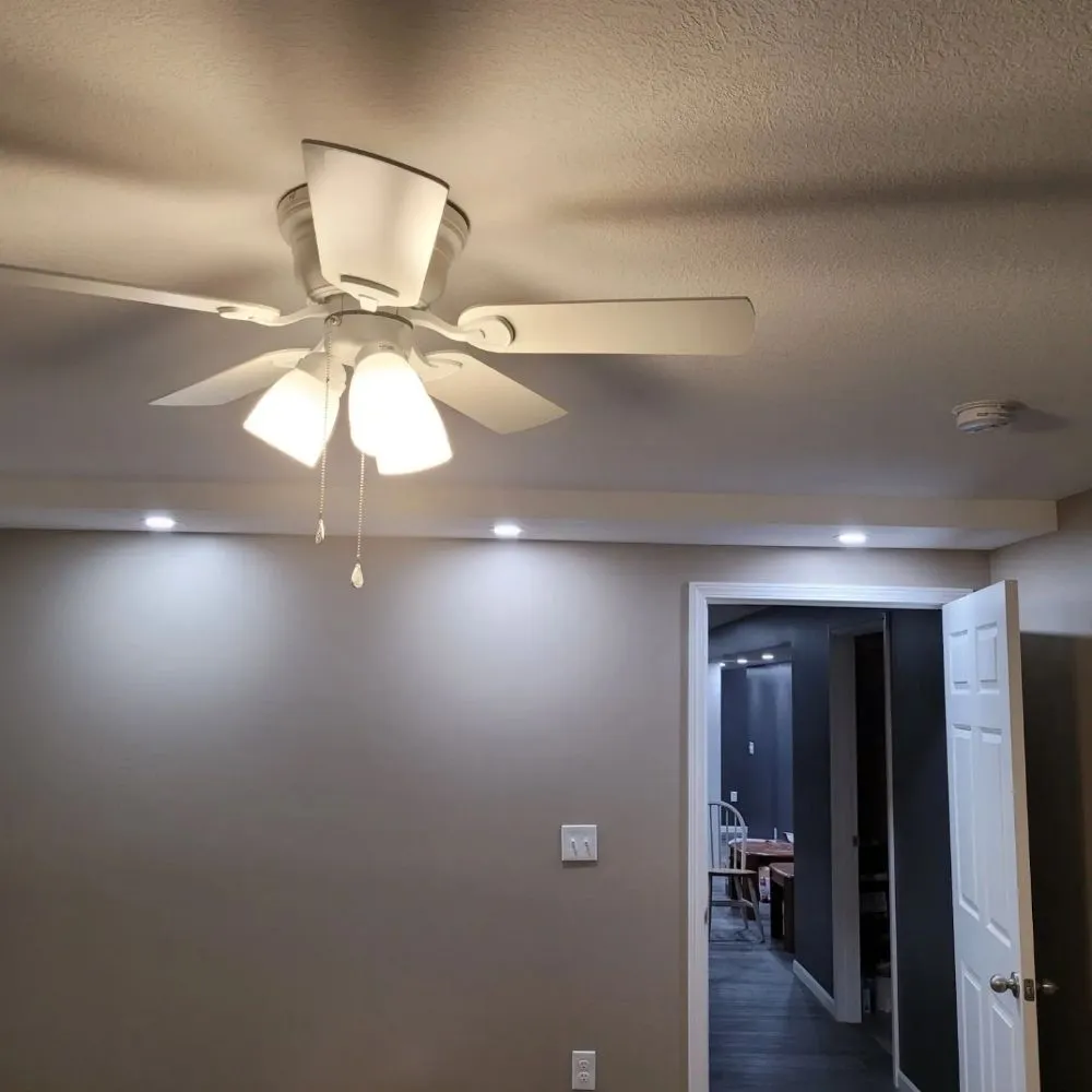 Slide of Electrical Pros