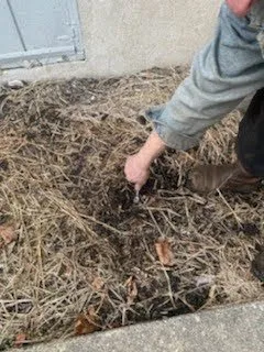 Slide of Electrical Services