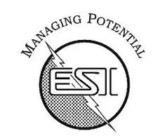 Electrical Systems Logo