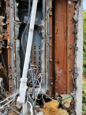 Electrical’s Finest Logo