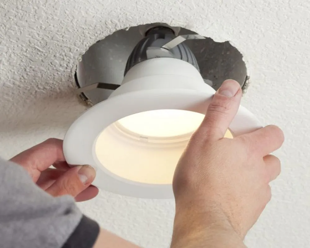 Slide of Electricella