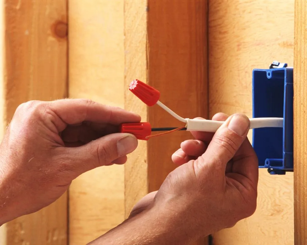 Slide of Electricella