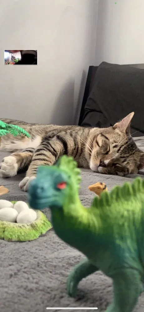 Slide of Electrichead