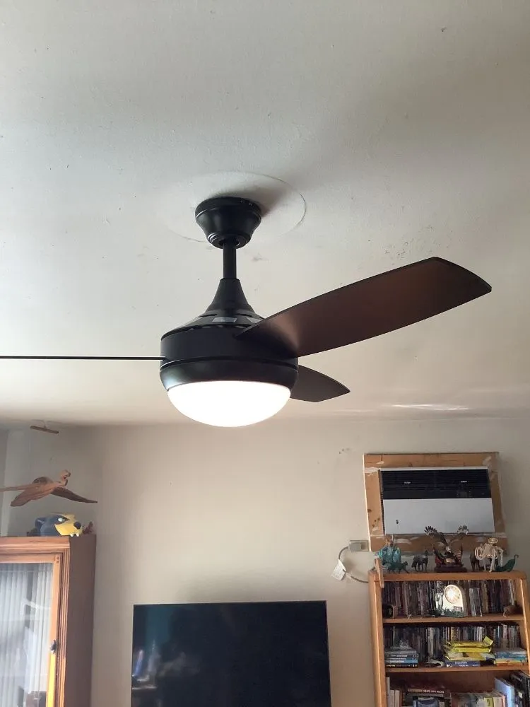 Expert electrical service for homes in outlet and switch repair, by