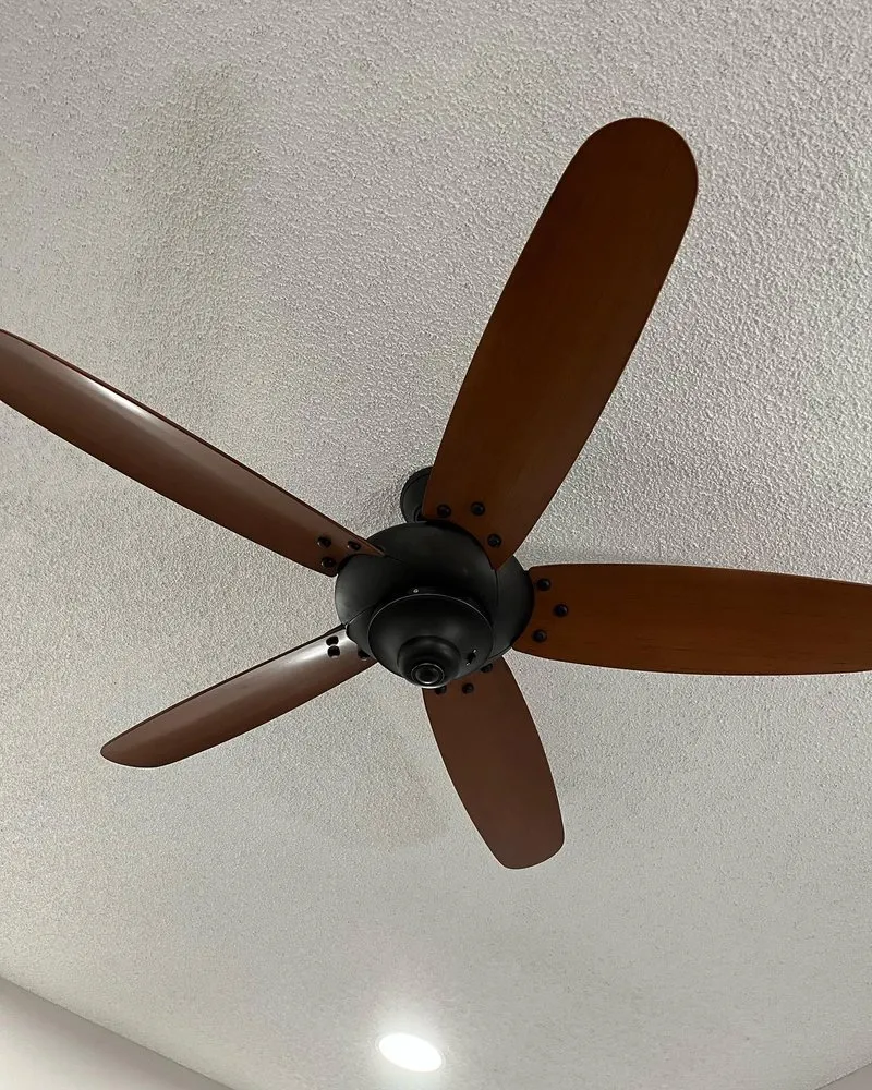 Slide of Electricman