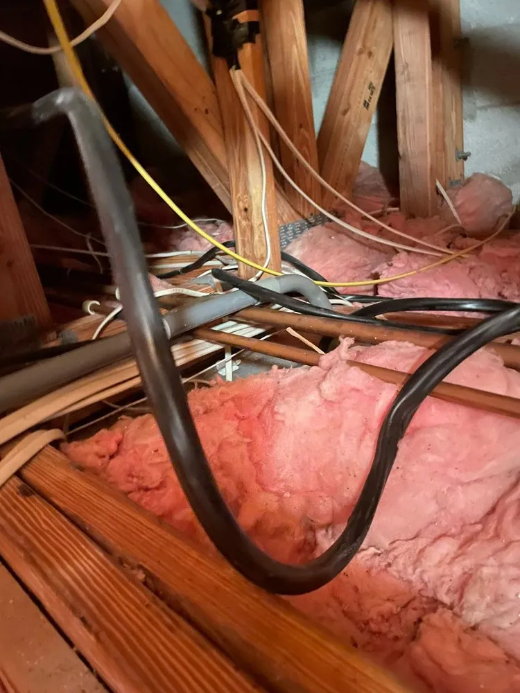 Slide of Electrik Pros  Wynwood