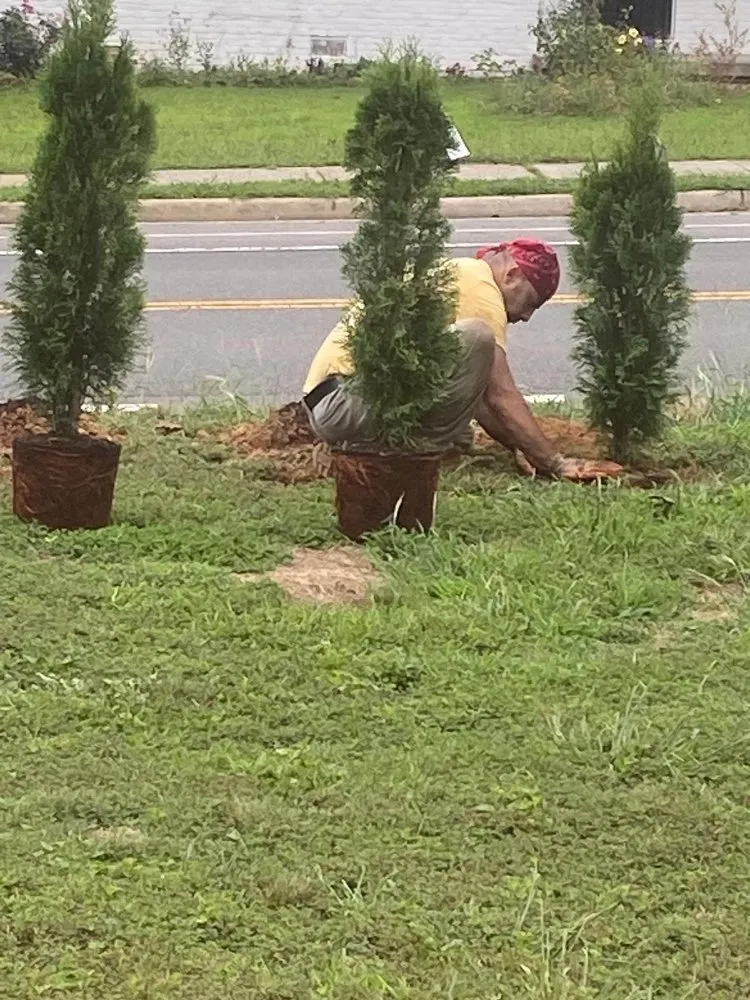 Slide of Electro Landscaping