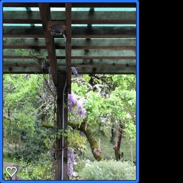 Affordable electrician providing emergency electrical service in ,