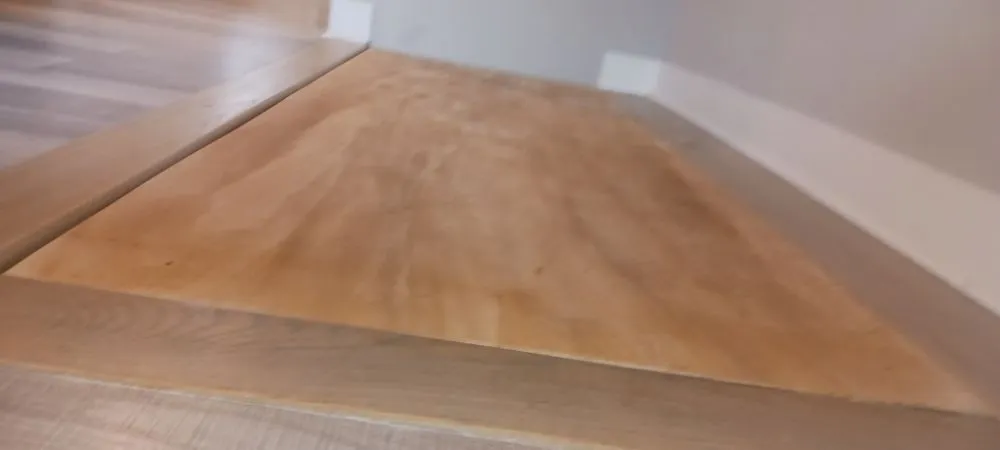 Slide of Elevated Electric