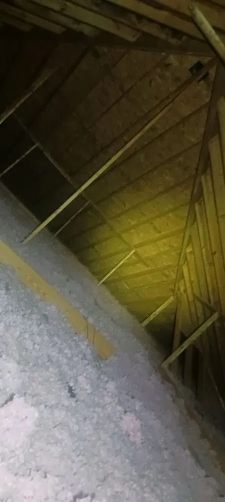 Professional panel upgrade service in ,  - Elevated Electric