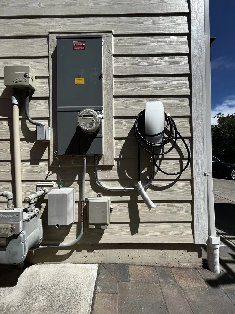 Slide of Elevated Electric