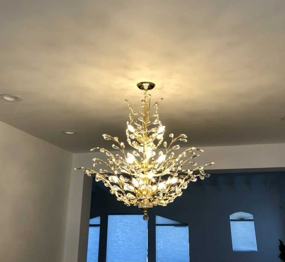 Slide of Eliad Camacho Electrical