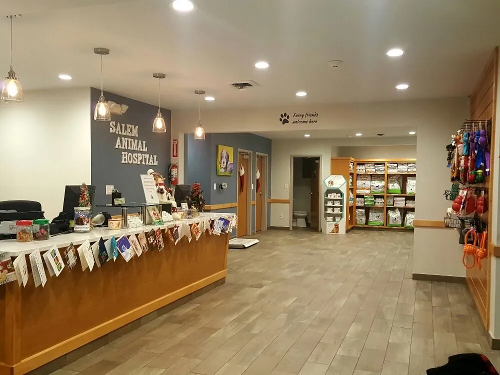 Slide of Elios Electric