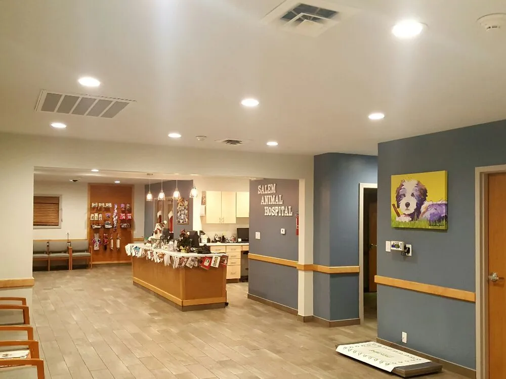 Slide of Elios Electric