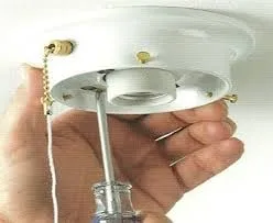 Slide of Elisha Levens Elrectric