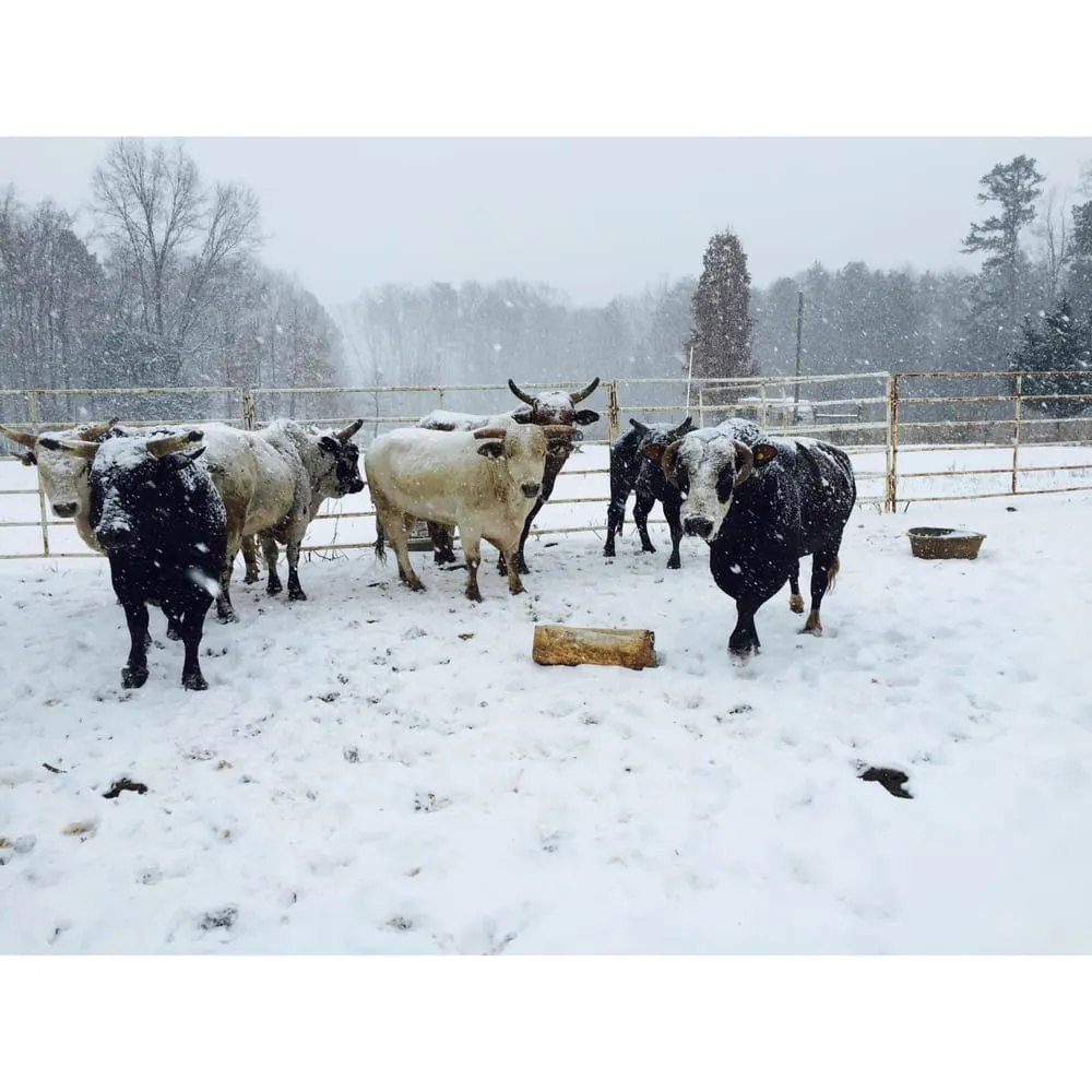 Slide of Elite Electric Contractors