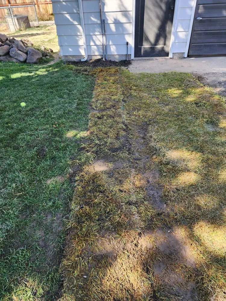 Emergency lighting installation service in , - Elite Electrical Solutions