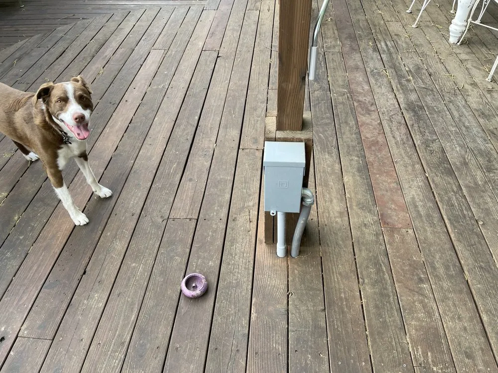 Professional electrical service for homes in panel upgrade,  by 