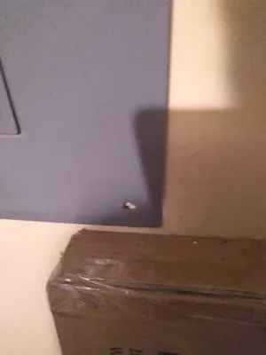 Elite Professional Electric