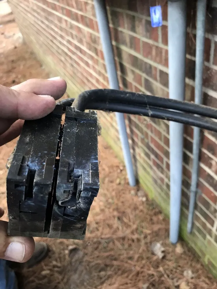 Slide of Ellis Robeson Electric