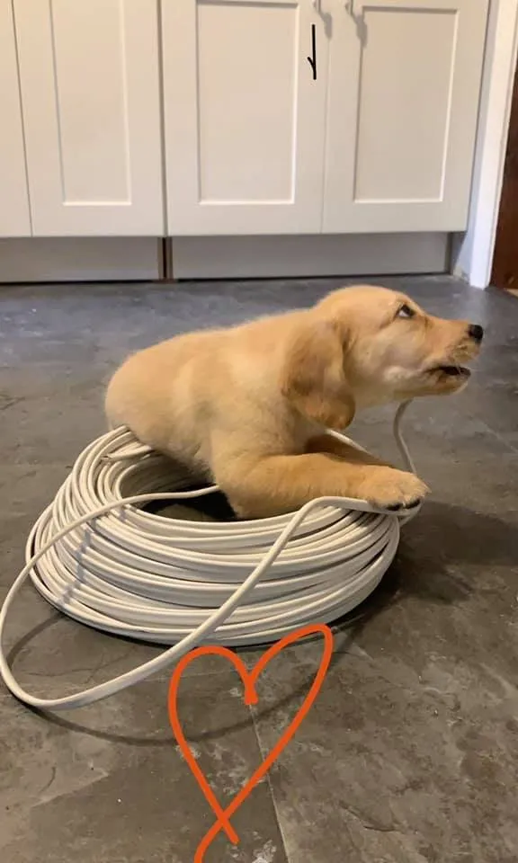 Slide of Ells Electric